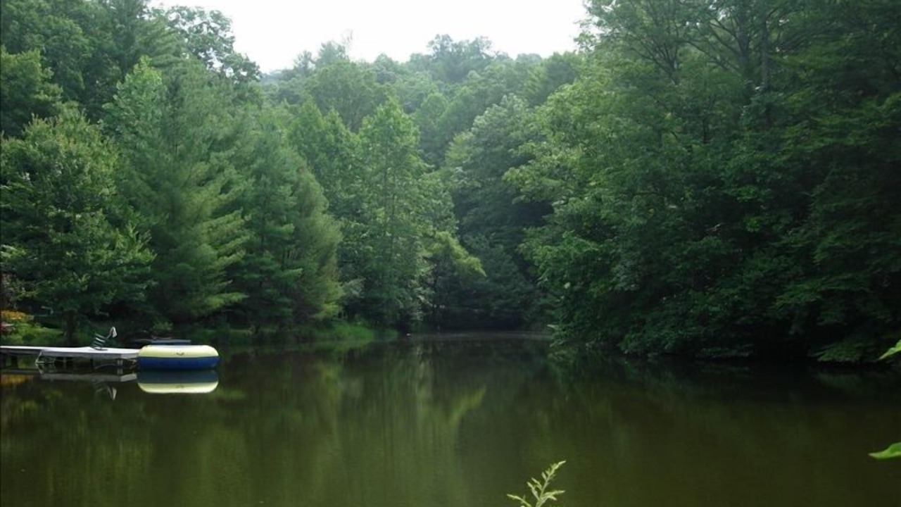 Photo of Outdoor in Fairview