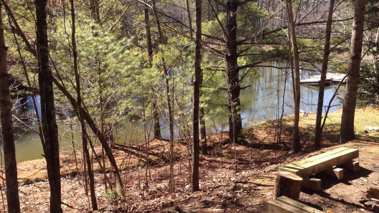 Photo of Outdoor in Fairview