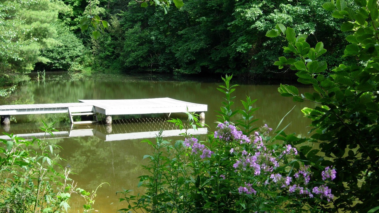 Photo of Outdoor in Fairview