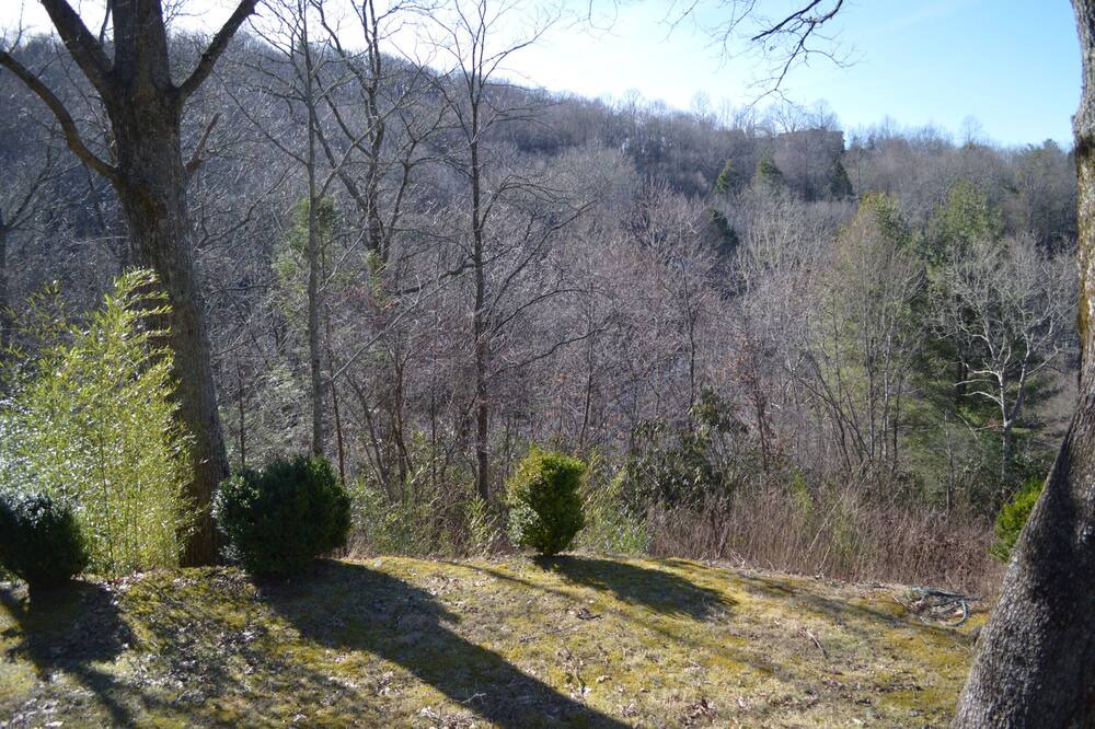 Photo of Outdoor in Scaly Mountain