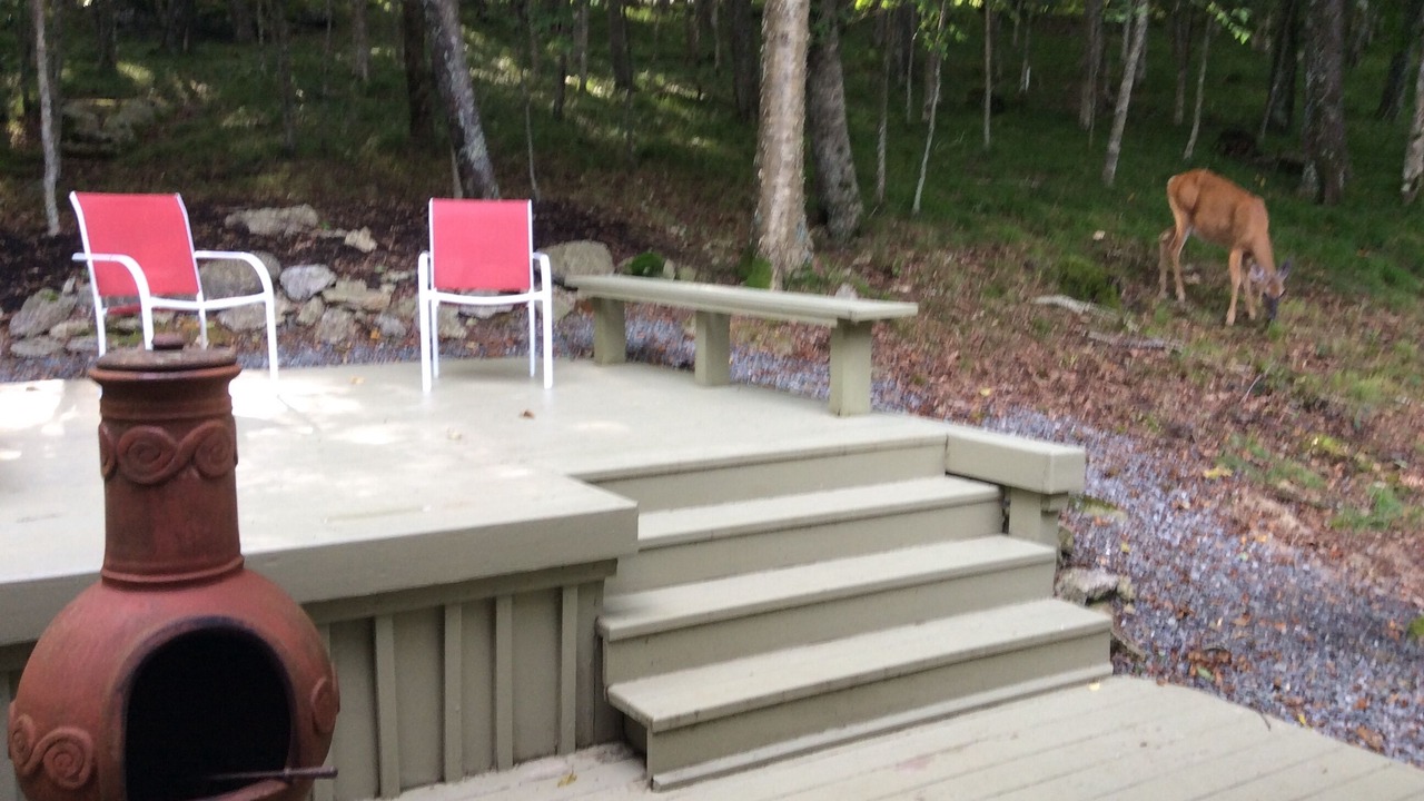 Photo of Outdoor in Beech Mountain