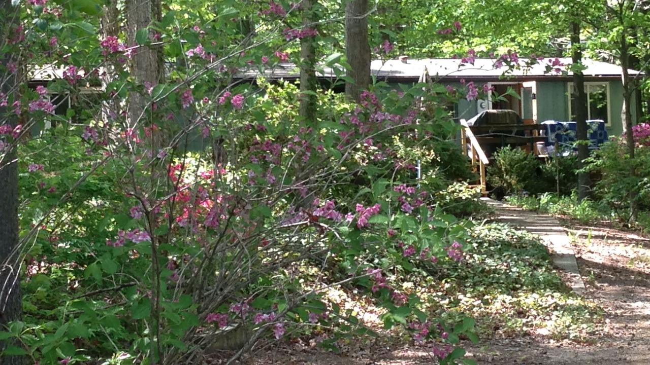 Photo of Outdoor in Lake Norman of Catawba