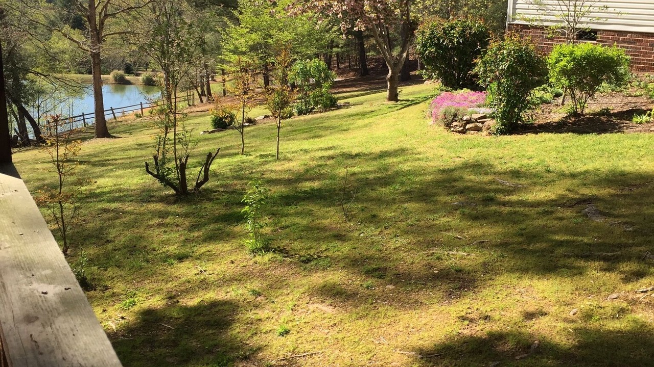 Photo of Outdoor in Morganton