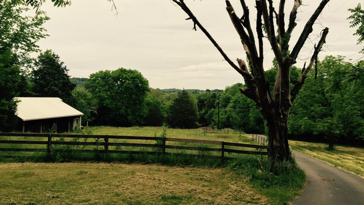 Photo of Outdoor in Goodlettsville