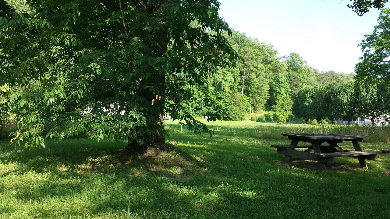 Photo of Outdoor in Murphy