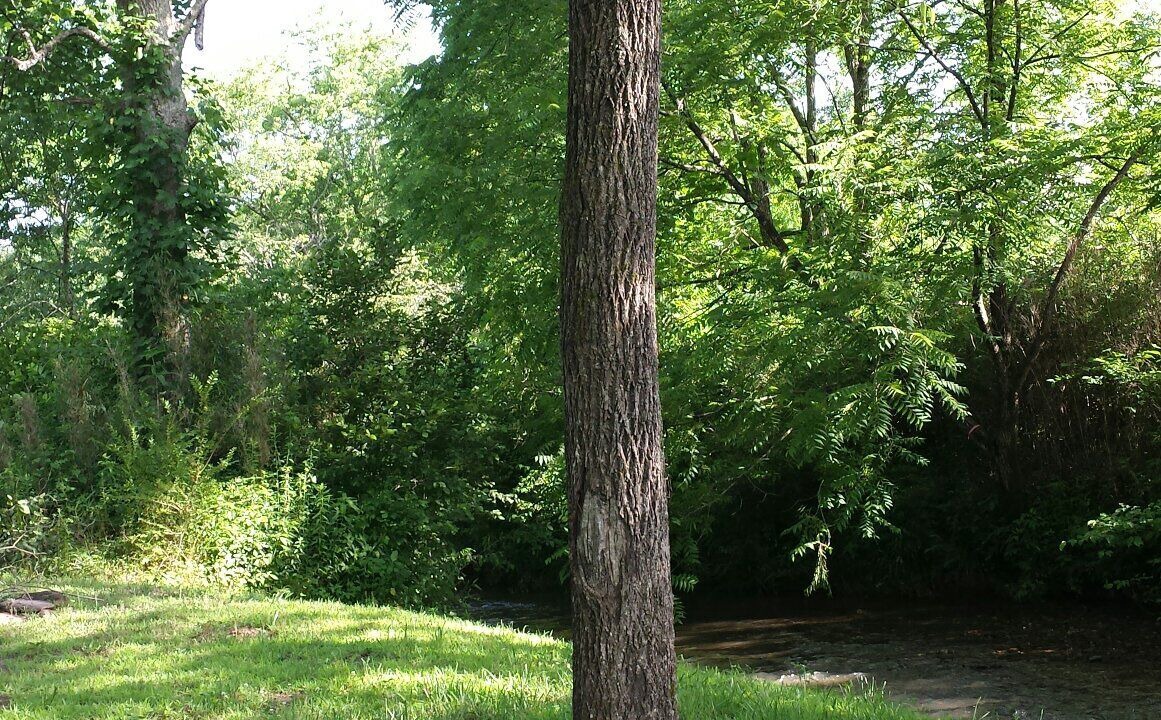 Photo of Outdoor in Murphy
