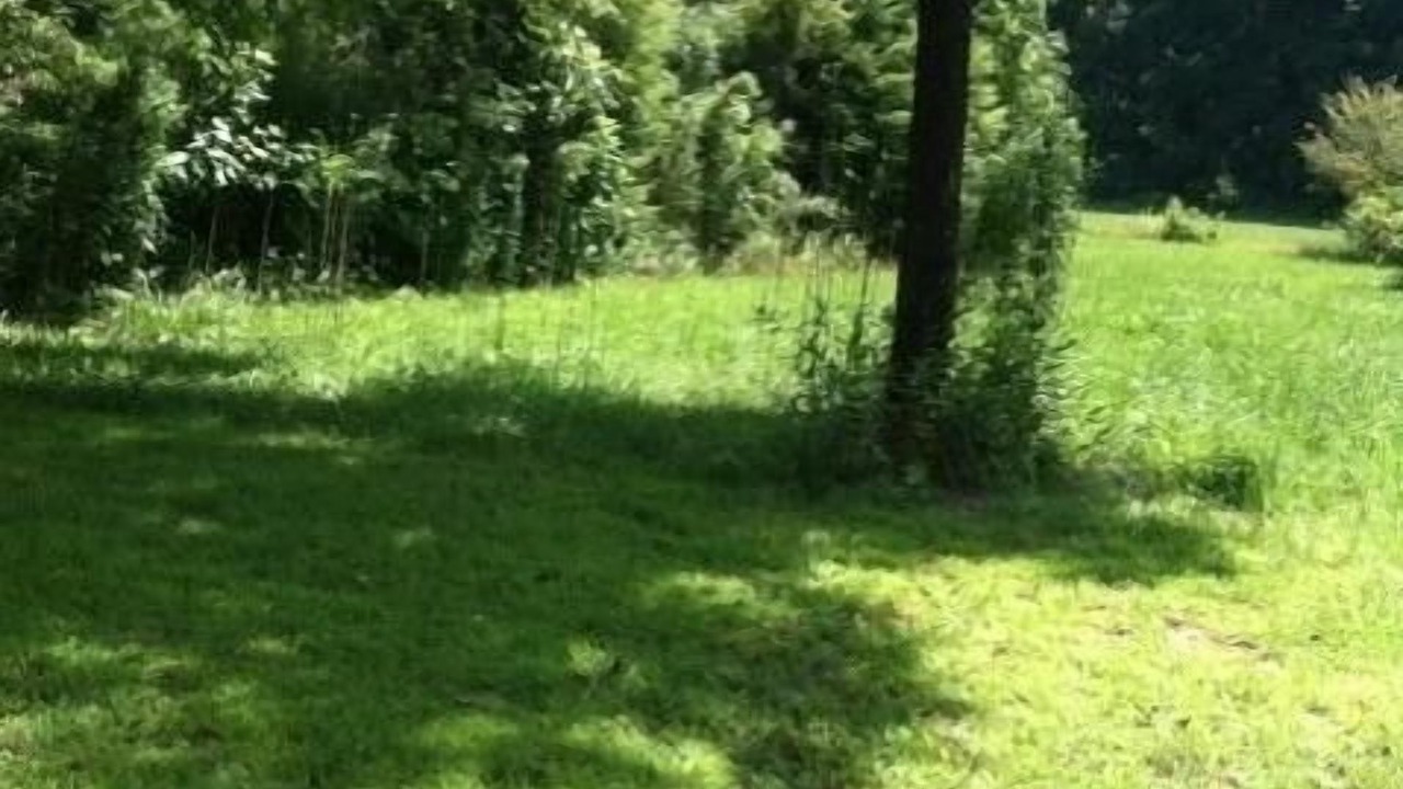 Photo of Outdoor in Murphy