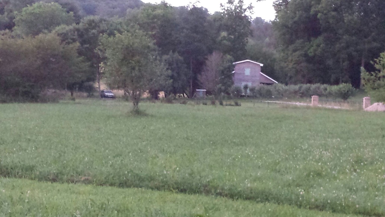 Photo of Outdoor in Murphy
