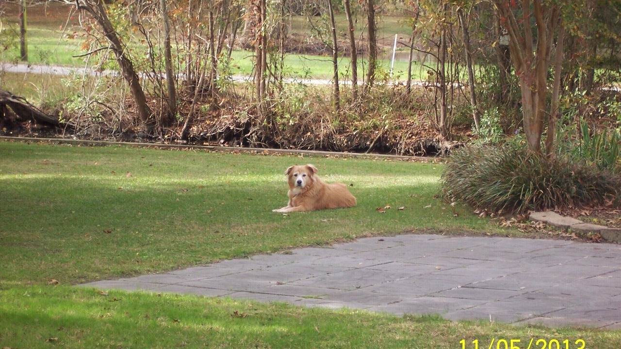 Photo of Outdoor in Belhaven