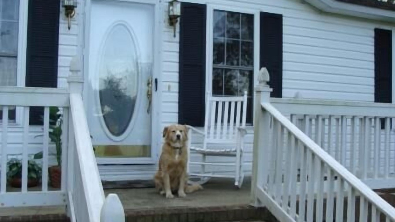 Photo of Patio Balcony in Belhaven