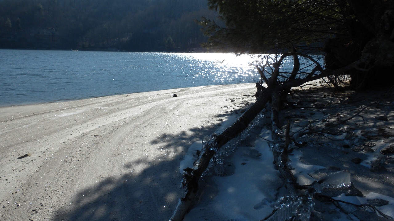 Photo of Others in Bear Lake Reserve