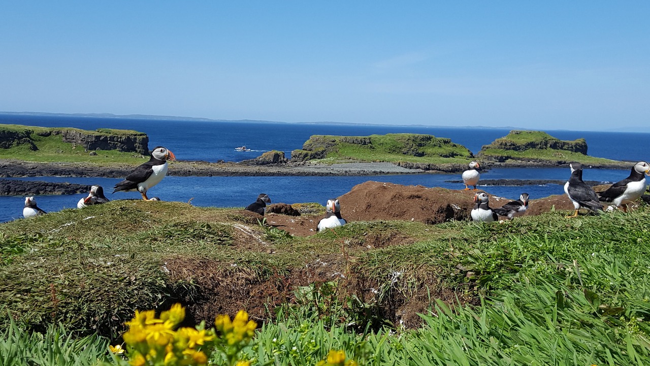 Photo of Others in Arduaine