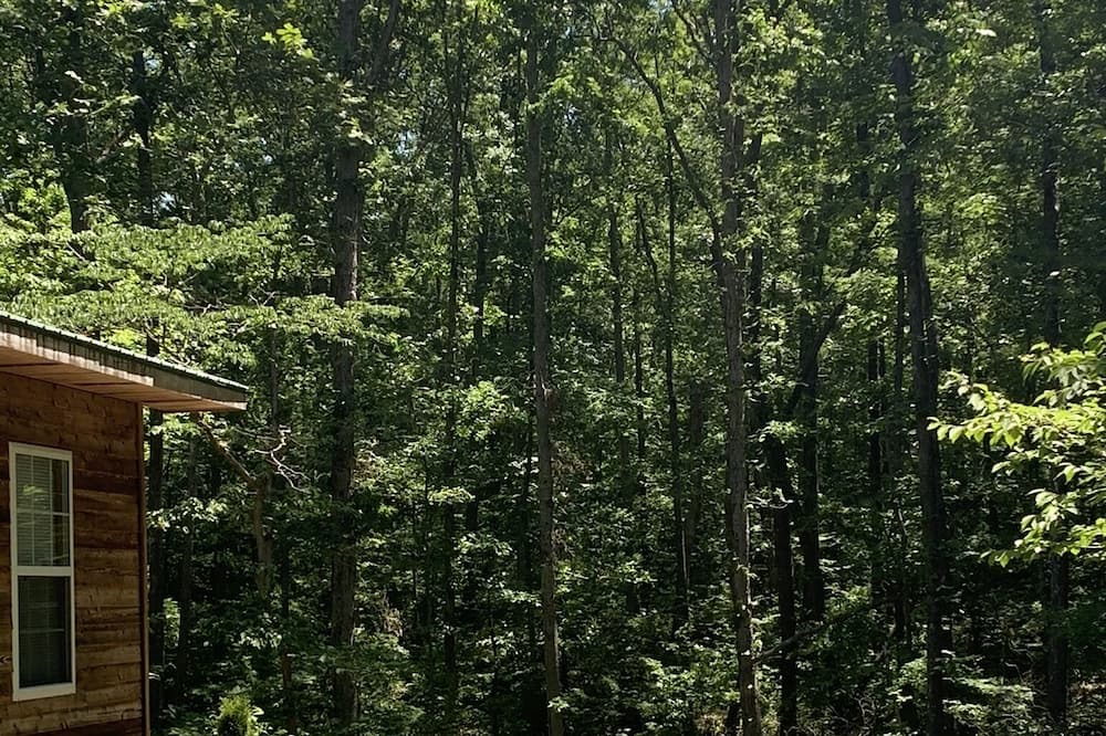 Photo of Others in Waynesboro