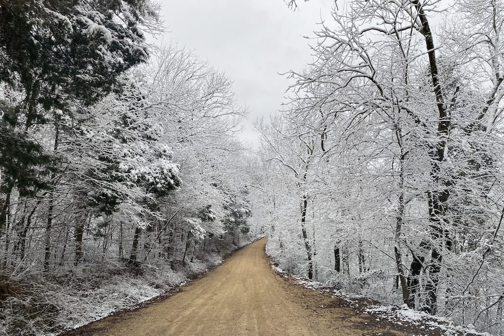 Photo of Others in Waynesboro