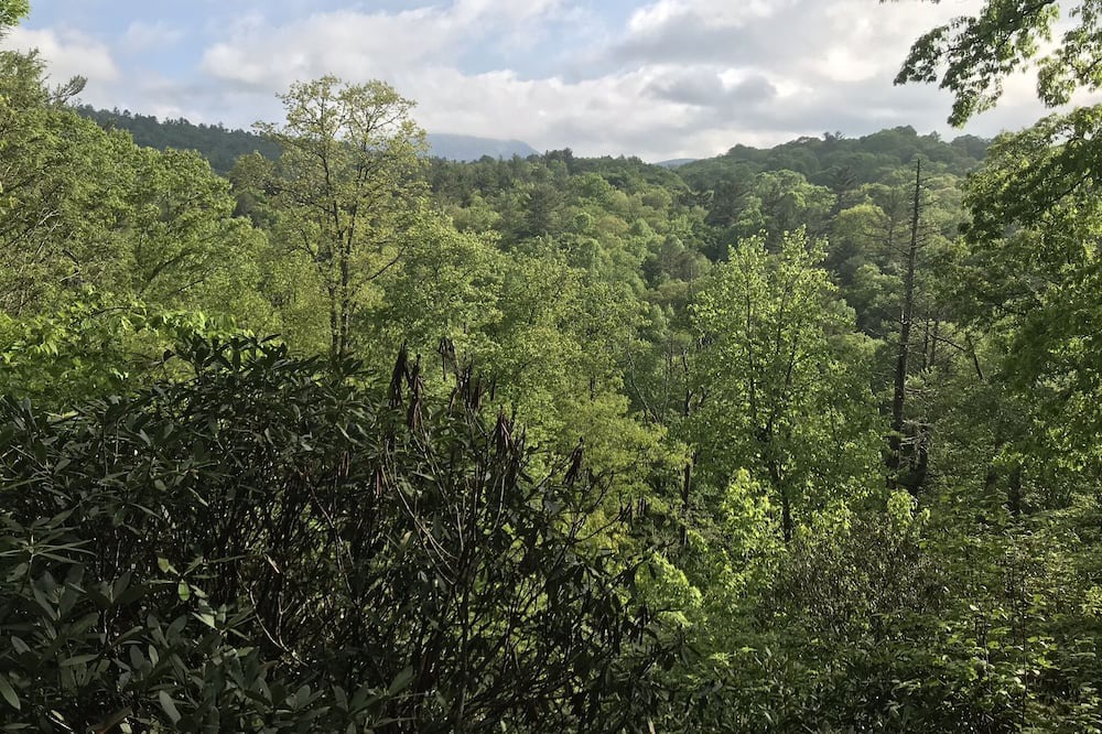 Photo of Others in Highlands Hills