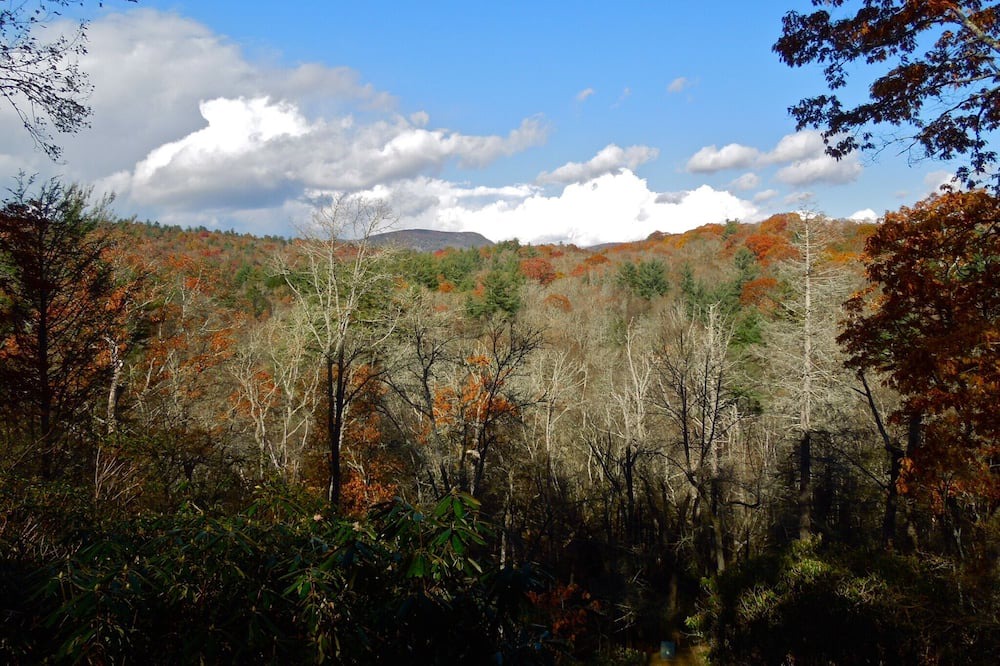 Photo of Others in Highlands Hills