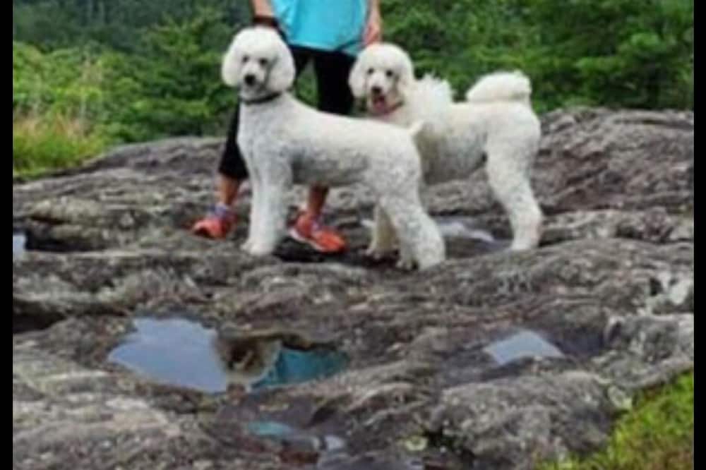Photo of Others in Highlands Hills