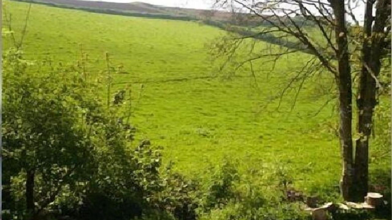 Photo of Outdoor in Burgh Island