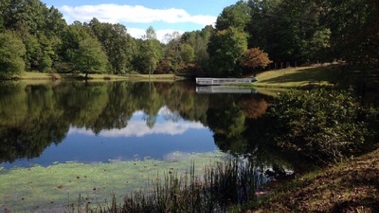 Photo of Outdoor in Troy