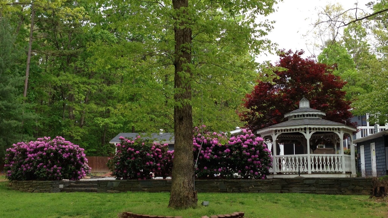Photo of Outdoor in Troy