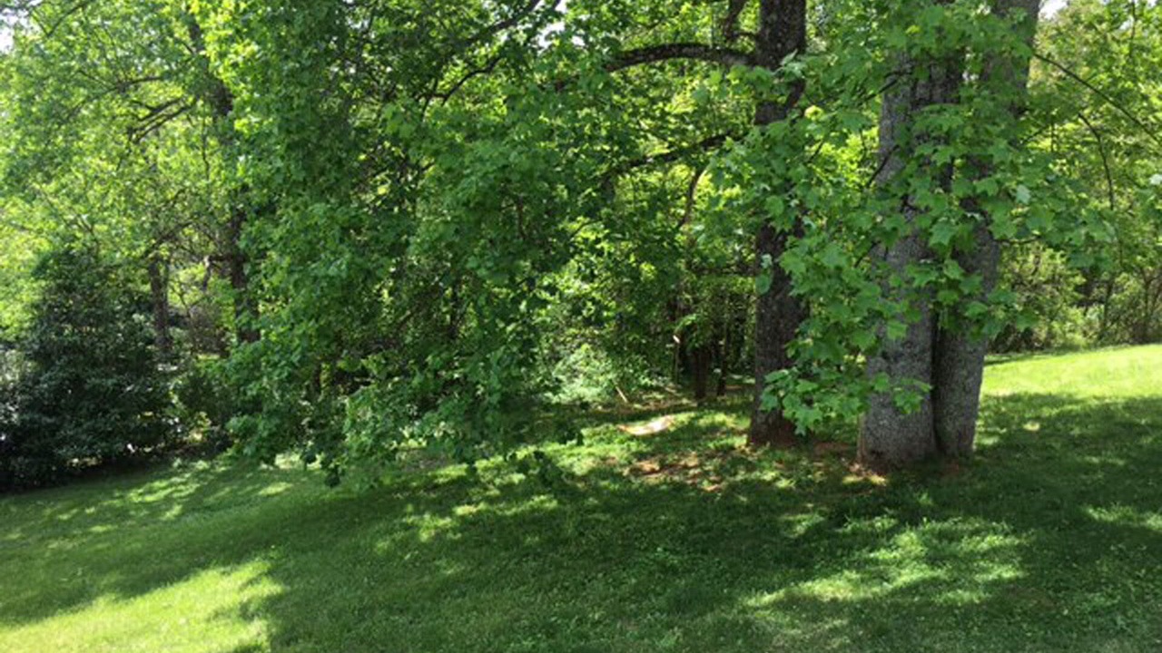 Photo of Outdoor in Saluda