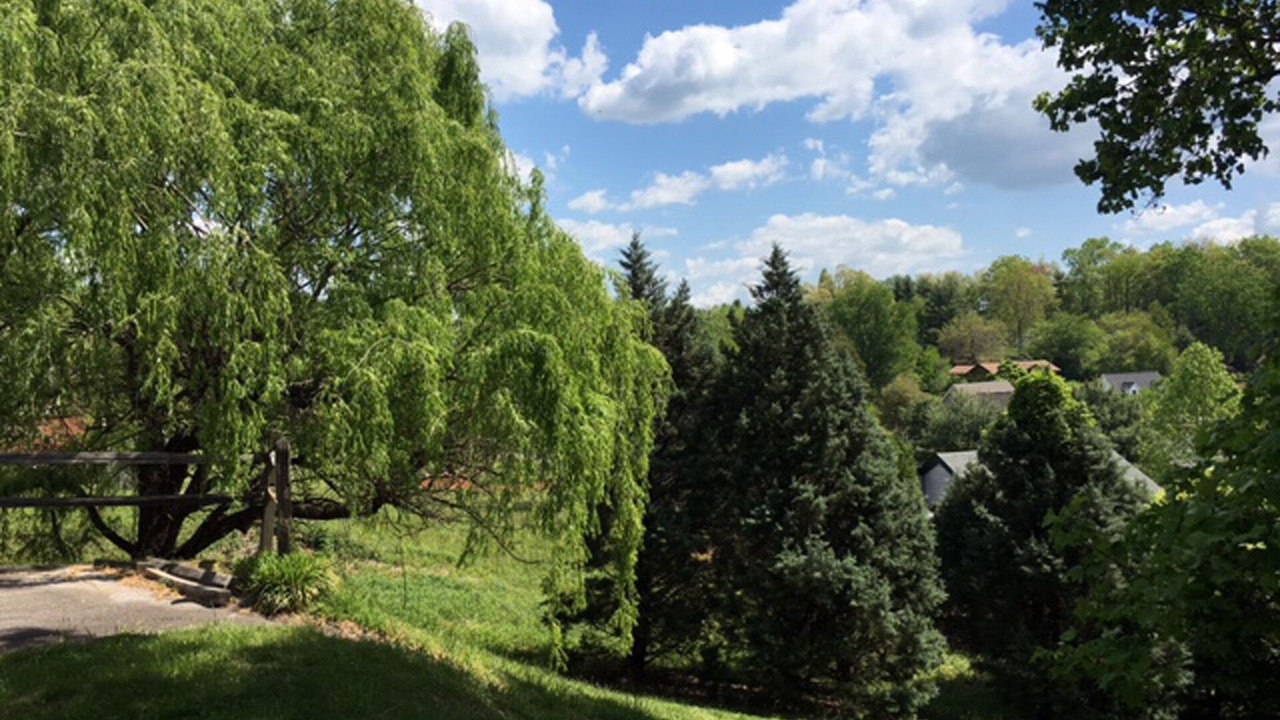 Photo of Outdoor in Saluda
