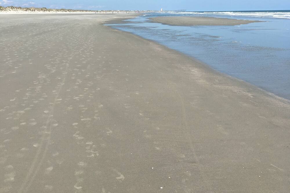 Photo of Others in Sea Trail