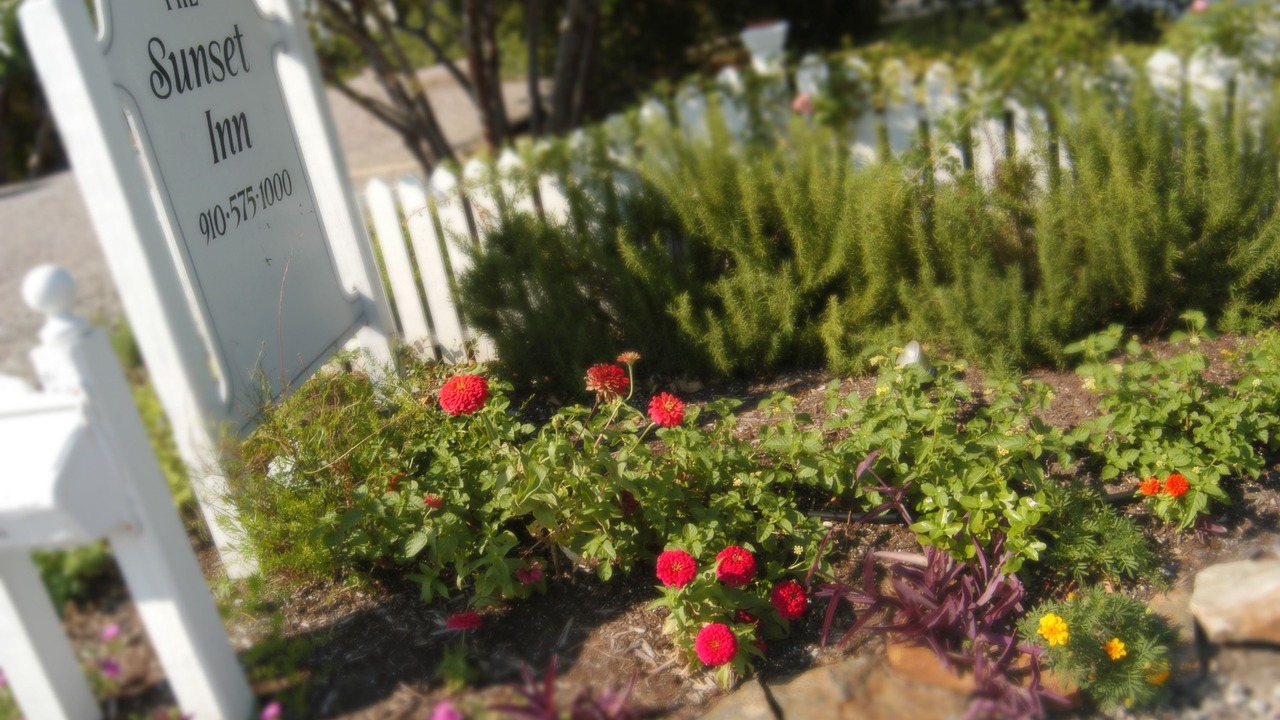 Photo of Outdoor in Sunset Beach
