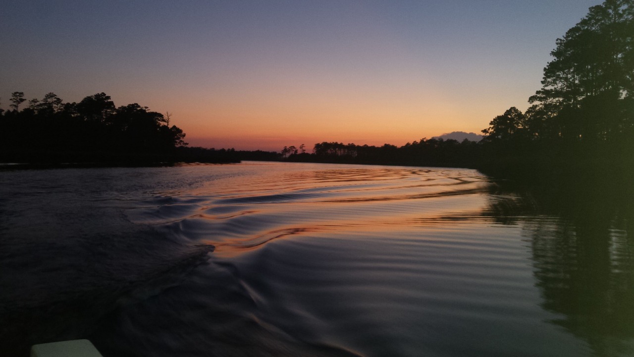 Photo of Others in South River