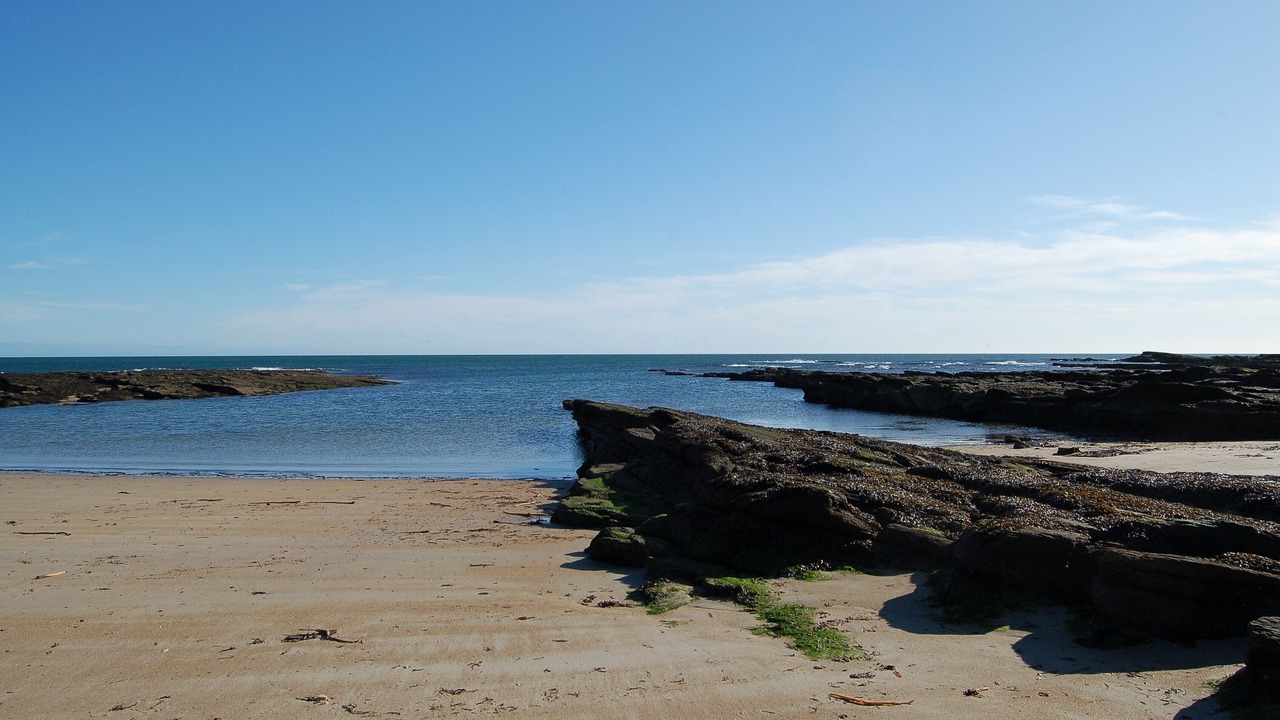 Photo of Others in Beadnell