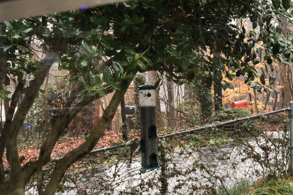 Photo of Outdoor in Winston - Salem