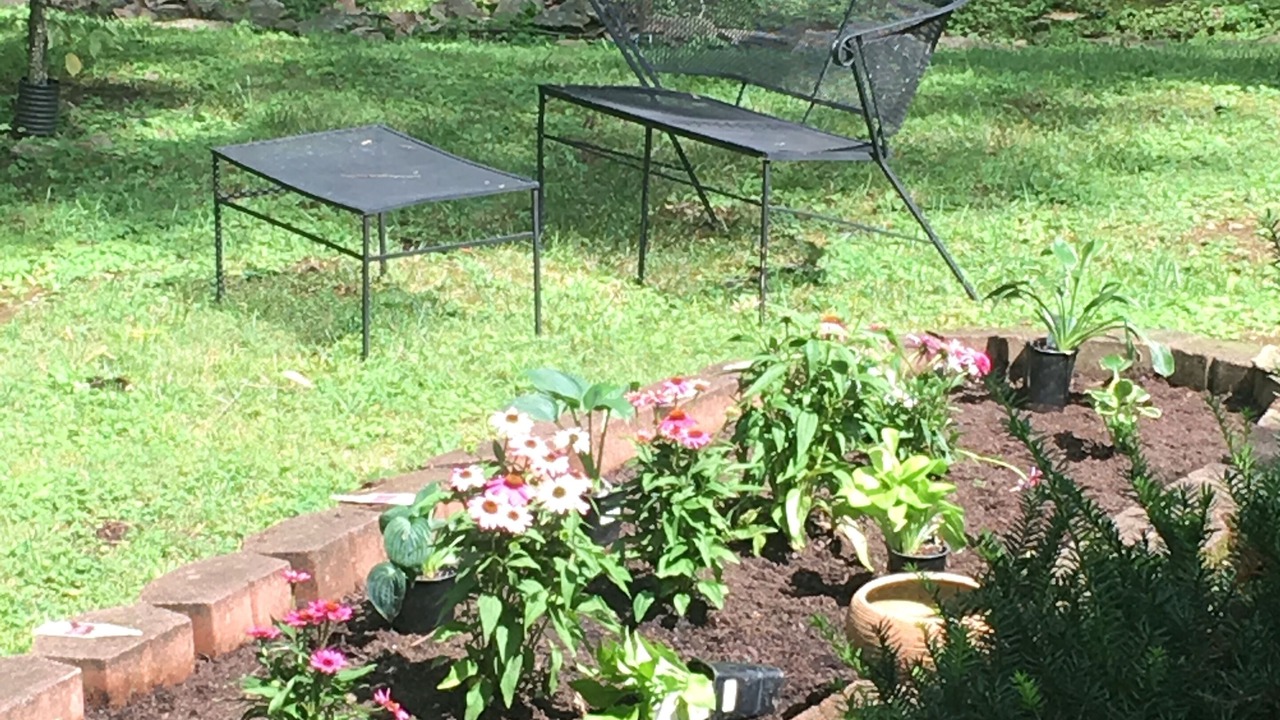 Photo of Outdoor in Hillwood