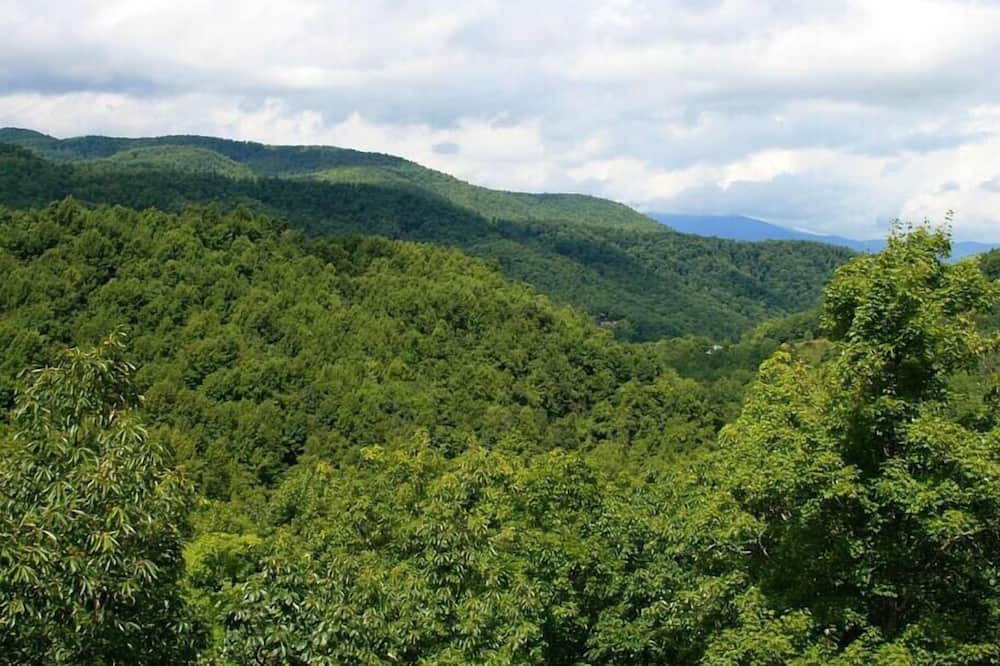 Photo of Others in Black Mountain