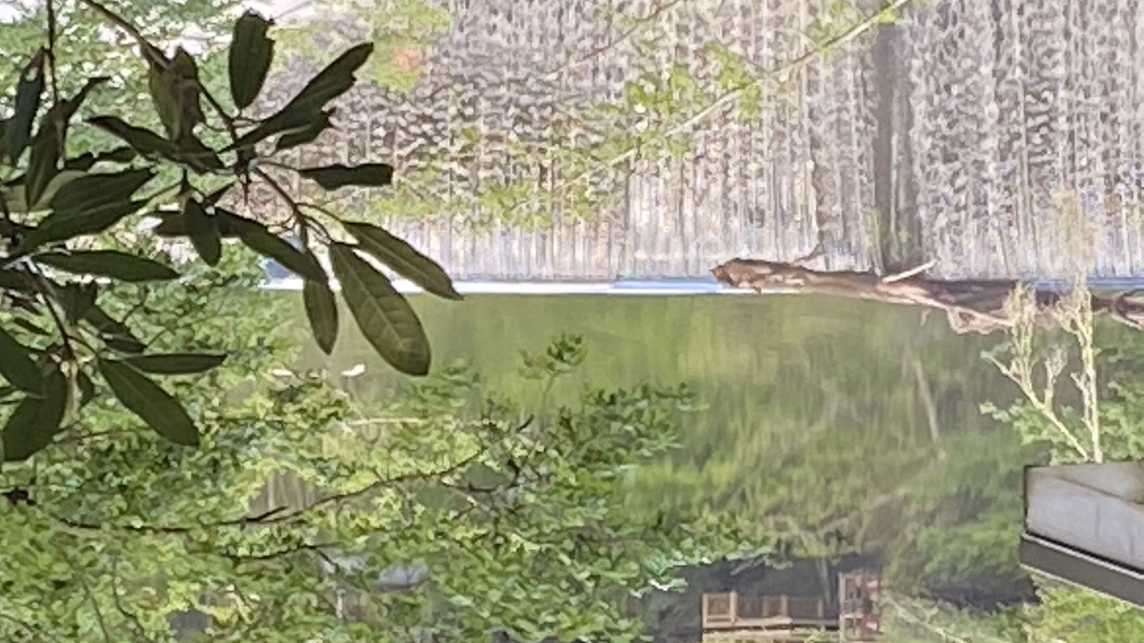 Photo of Outdoor in Mirror Lake