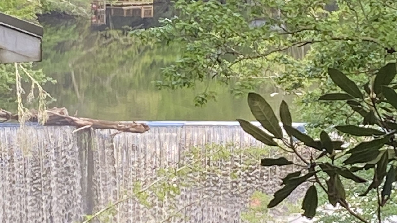 Photo of Outdoor in Mirror Lake