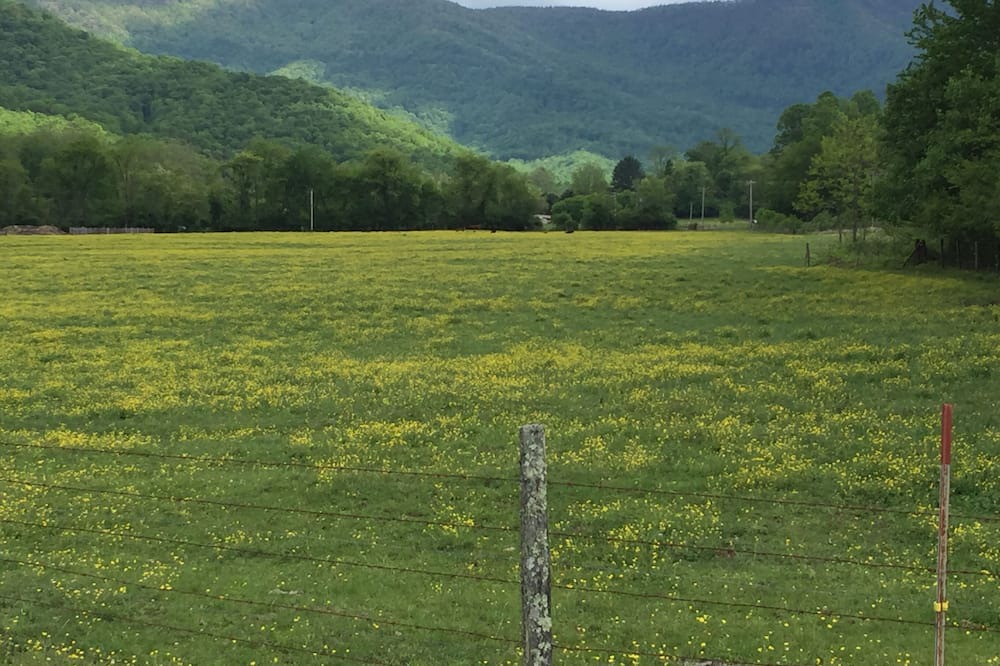 Photo of Others in Hayesville