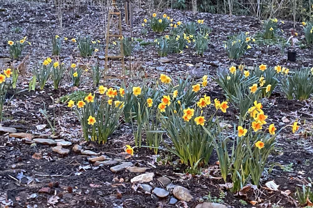 Photo of Outdoor in Hayesville