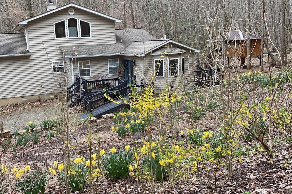 Photo of Others in Hayesville