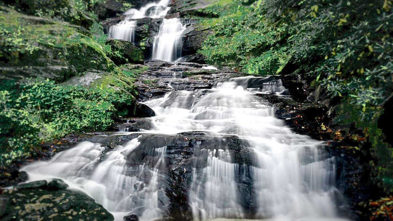 Photo of Outdoor in Otto