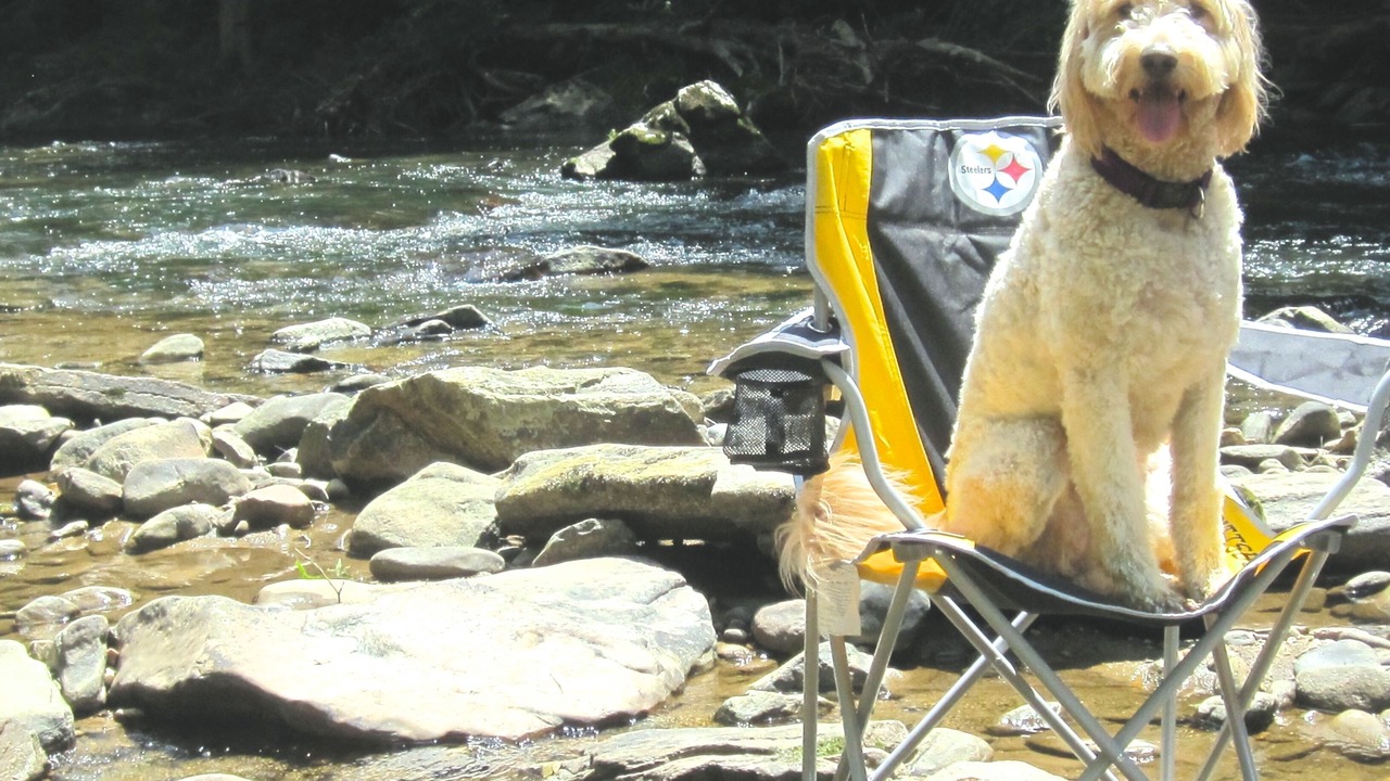 Photo of Others in Mars Hill