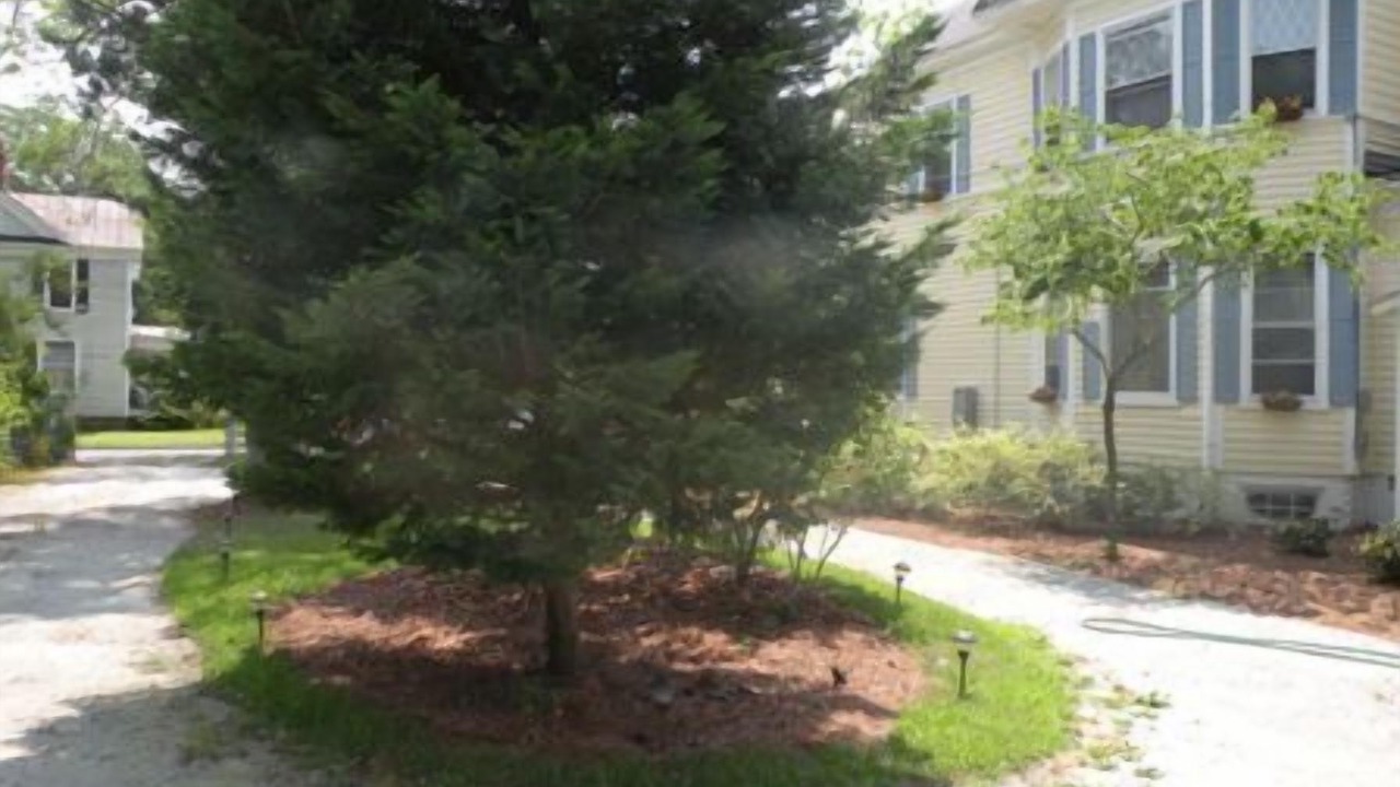Photo of Outdoor in Kinston