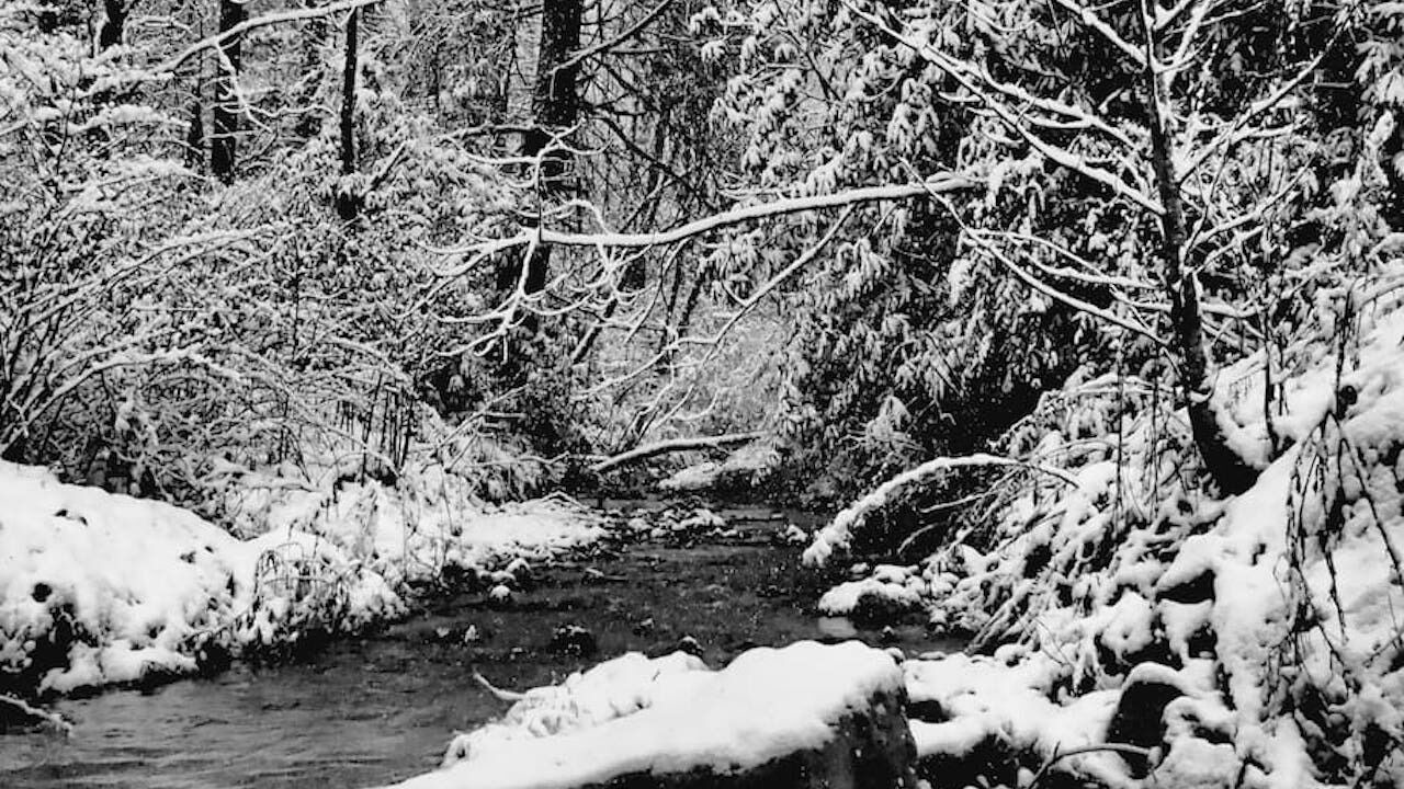 Photo of Outdoor in Hendersonville