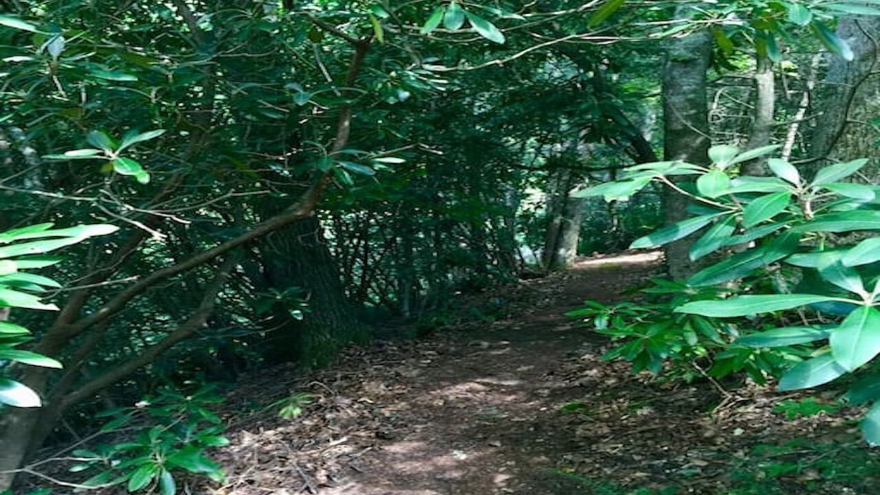 Photo of Outdoor in Hendersonville