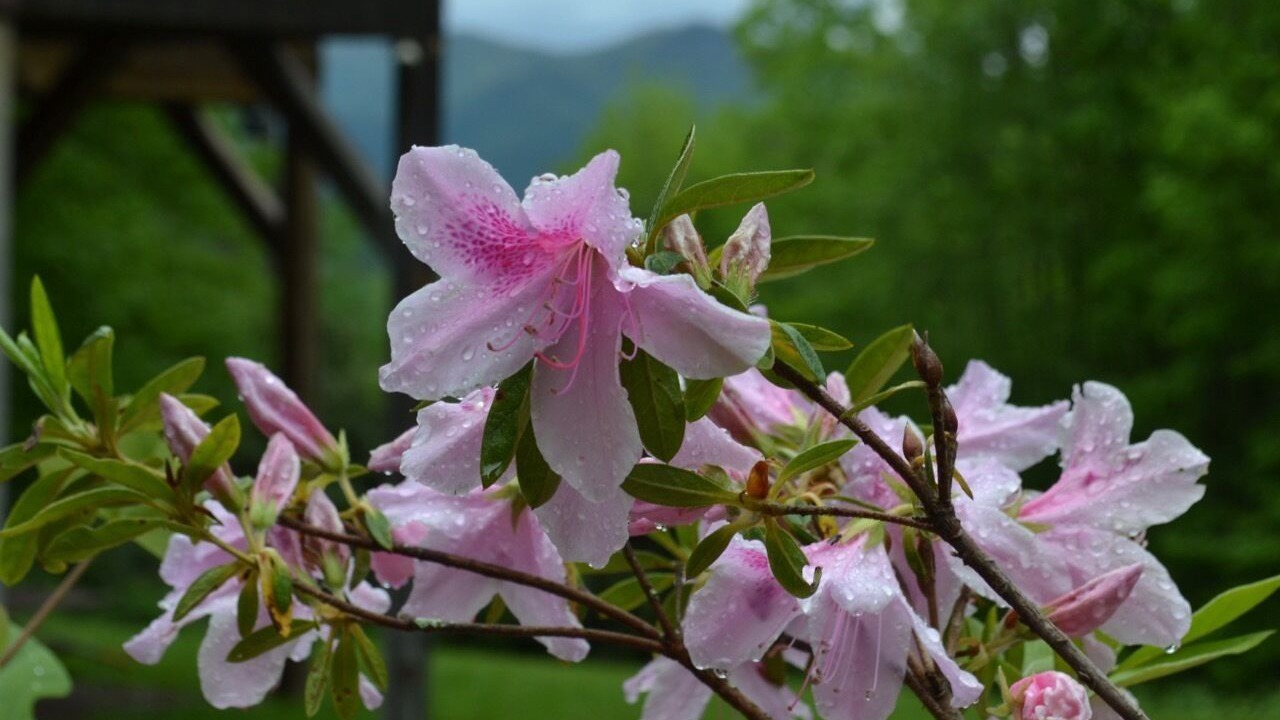 Photo of Outdoor in Canton