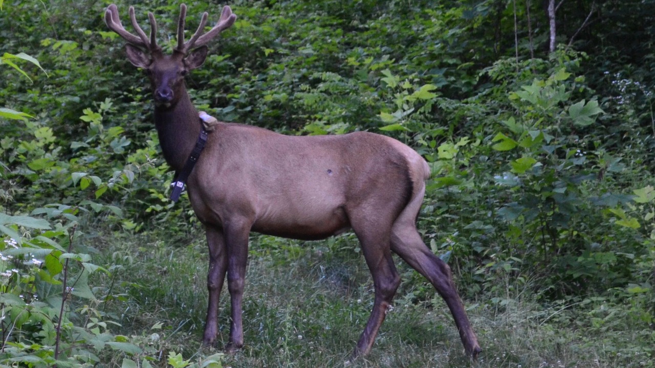 Photo of Outdoor in Canton