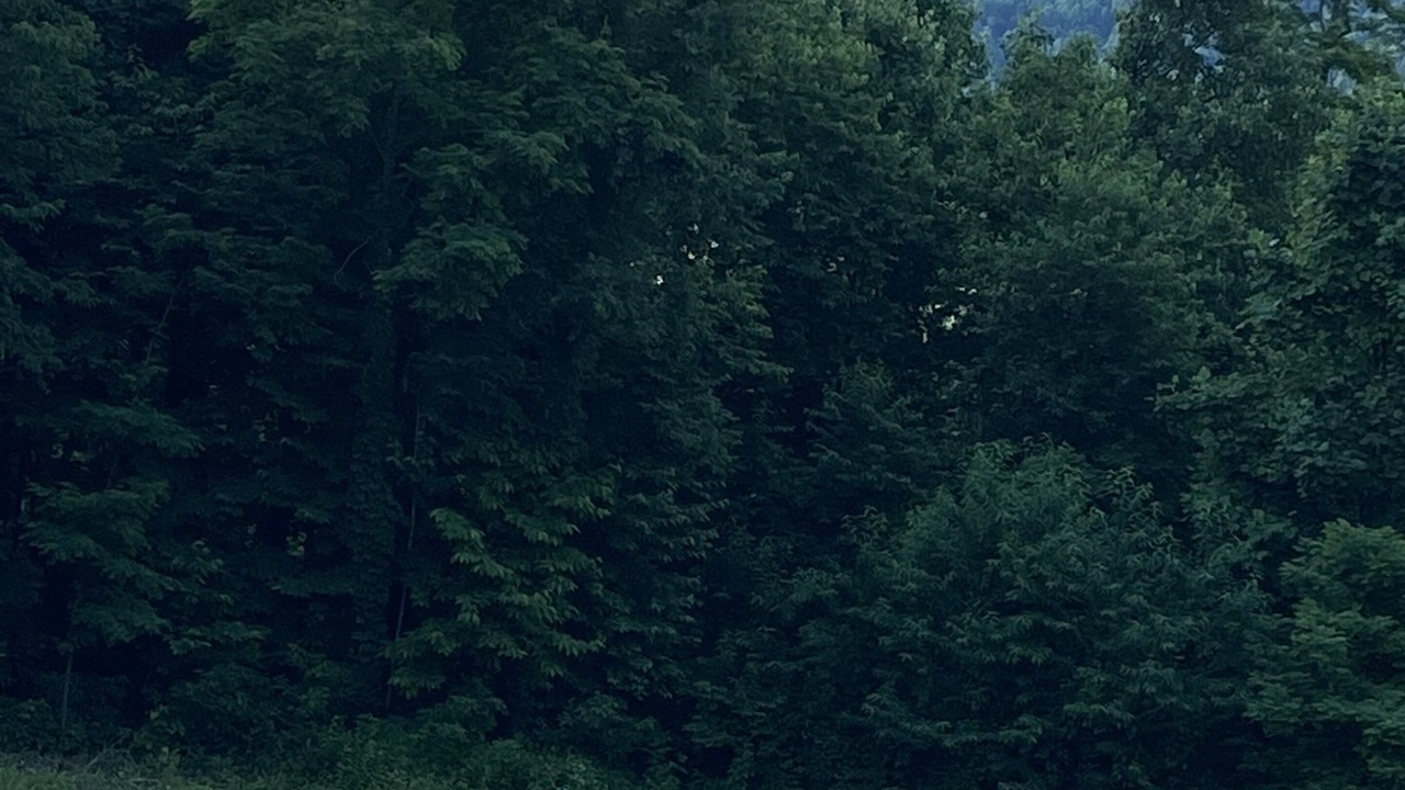 Photo of Outdoor in Canton