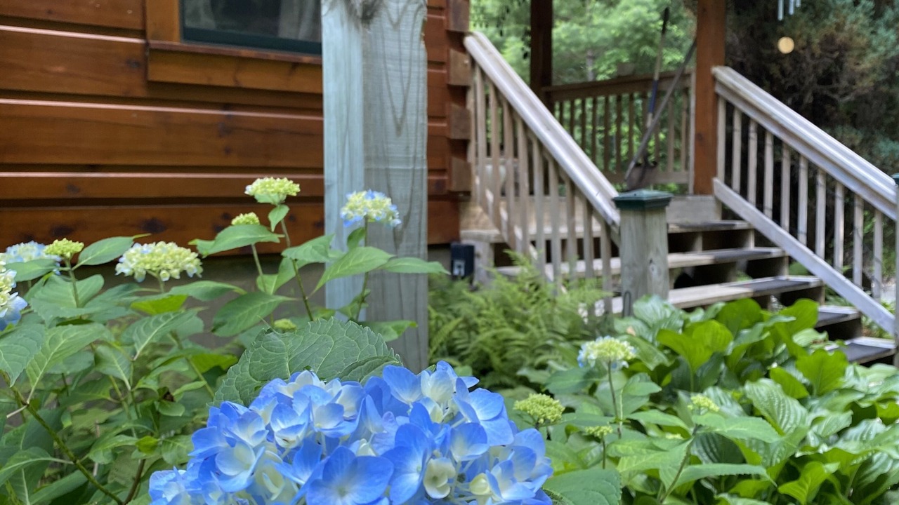 Photo of Outdoor in Canton