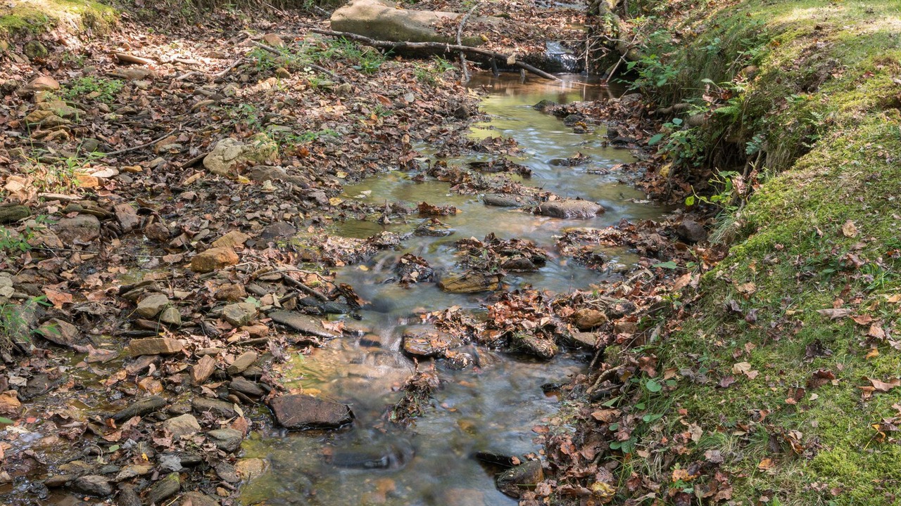 Photo of Outdoor in Cheshire