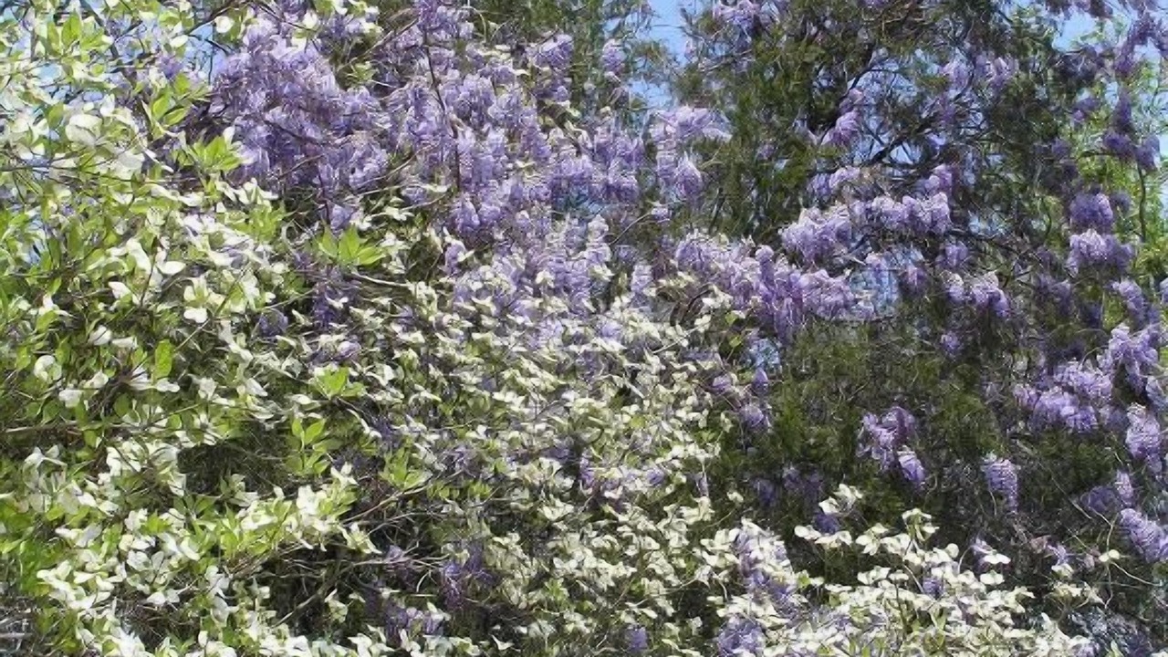 Photo of Outdoor in Kernersville