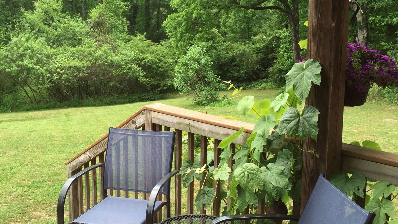 Photo of Outdoor in Kernersville